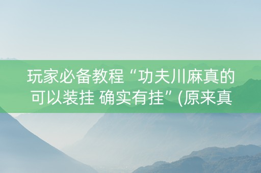 玩家必备教程“功夫川麻真的可以装挂 确实有挂”(原来真的有挂)-知乎