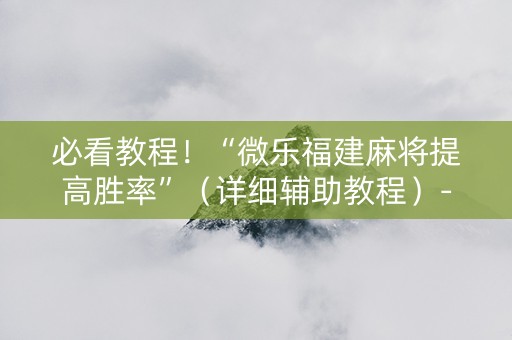 必看教程！“微乐福建麻将提高胜率”（详细辅助教程）-哔哩哔哩