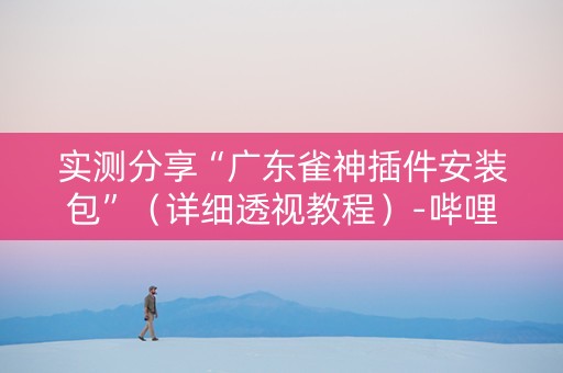 实测分享“广东雀神插件安装包”（详细透视教程）-哔哩哔哩