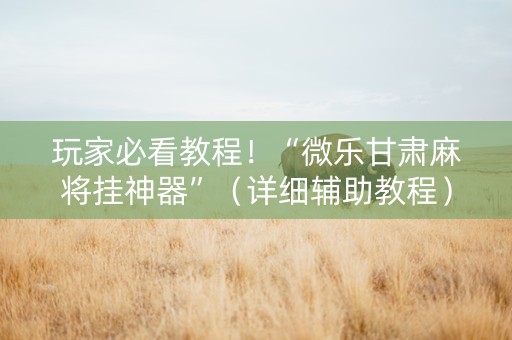 玩家必看教程！“微乐甘肃麻将挂神器”（详细辅助教程）-哔哩哔哩