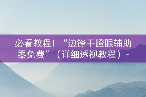 必看教程！“边锋干瞪眼辅助器免费”（详细透视教程）-哔哩哔哩