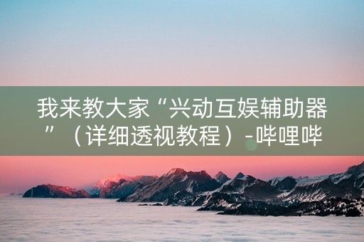 我来教大家“兴动互娱辅助器”（详细透视教程）-哔哩哔哩