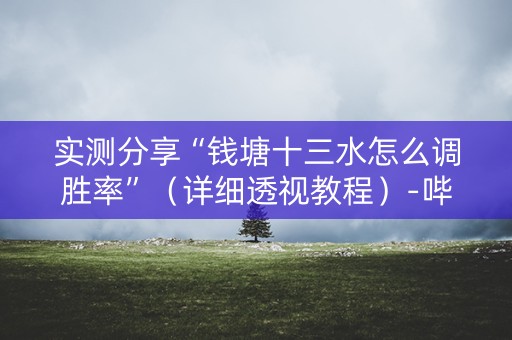 实测分享“钱塘十三水怎么调胜率”（详细透视教程）-哔哩哔哩