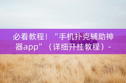 必看教程！“手机扑克辅助神器app”（详细开挂教程）-哔哩哔哩