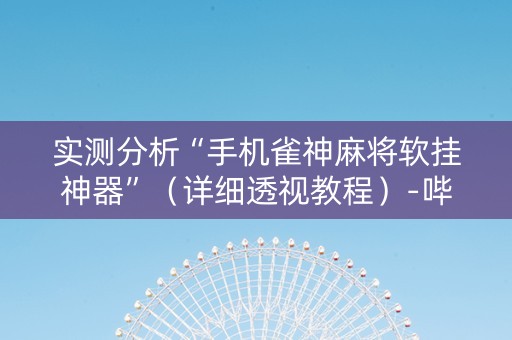 实测分析“手机雀神麻将软挂神器”（详细透视教程）-哔哩哔哩