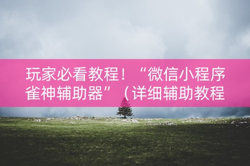 玩家必看教程！“微信小程序雀神辅助器”（详细辅助教程）-哔哩哔哩