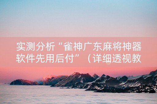 实测分析“雀神广东麻将神器软件先用后付”（详细透视教程）-哔哩哔哩