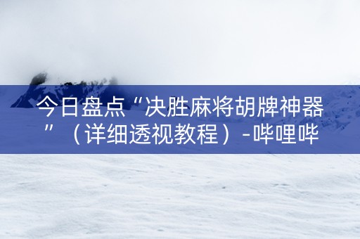 今日盘点“决胜麻将胡牌神器”（详细透视教程）-哔哩哔哩