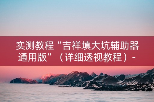 实测教程“吉祥填大坑辅助器通用版”（详细透视教程）-哔哩哔哩