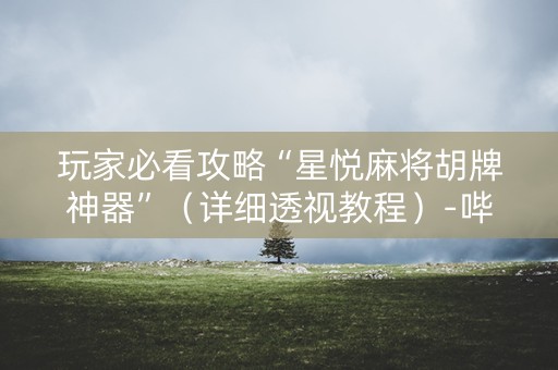 玩家必看攻略“星悦麻将胡牌神器”（详细透视教程）-哔哩哔哩