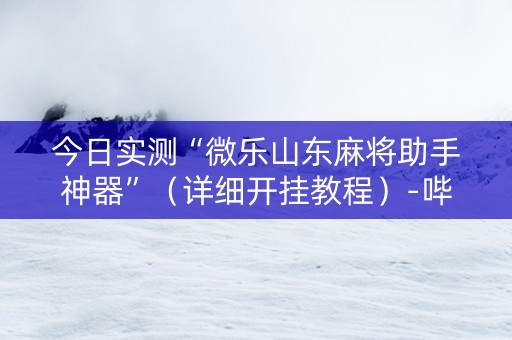 今日实测“微乐山东麻将助手神器”（详细开挂教程）-哔哩哔哩