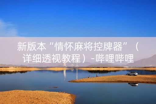 新版本“情怀麻将控牌器”（详细透视教程）-哔哩哔哩