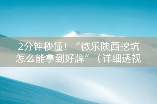 2分钟秒懂！“微乐陕西挖坑怎么能拿到好牌”（详细透视教程）-哔哩哔哩