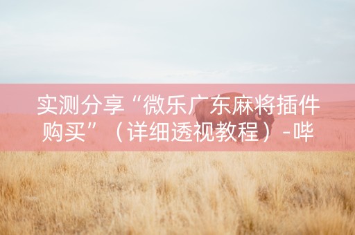 实测分享“微乐广东麻将插件购买”（详细透视教程）-哔哩哔哩