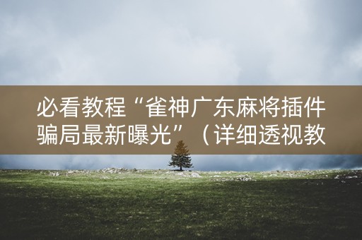 必看教程“雀神广东麻将插件骗局最新曝光”（详细透视教程）-哔哩哔哩
