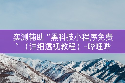 实测辅助“黑科技小程序免费”（详细透视教程）-哔哩哔哩