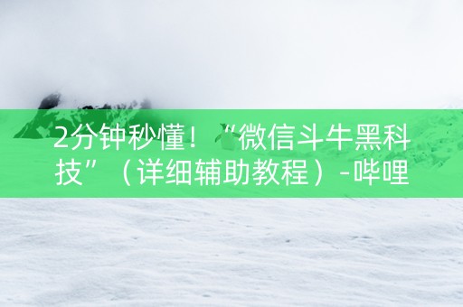 2分钟秒懂！“微信斗牛黑科技”（详细辅助教程）-哔哩哔哩