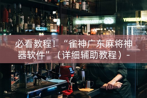 必看教程！“雀神广东麻将神器软件”（详细辅助教程）-哔哩哔哩