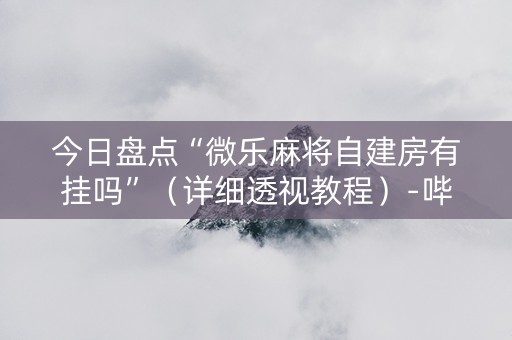 今日盘点“微乐麻将自建房有挂吗”（详细透视教程）-哔哩哔哩