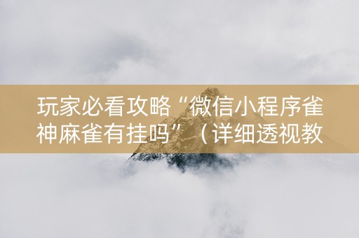 玩家必看攻略“微信小程序雀神麻雀有挂吗”（详细透视教程）-哔哩哔哩