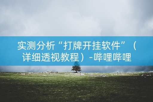 实测分析“打牌开挂软件”（详细透视教程）-哔哩哔哩