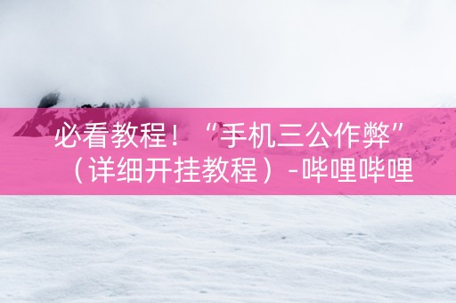 必看教程！“手机三公作弊”（详细开挂教程）-哔哩哔哩