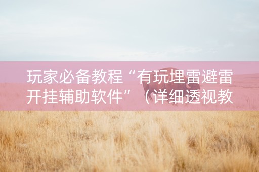 玩家必备教程“有玩埋雷避雷开挂辅助软件”（详细透视教程）-哔哩哔哩