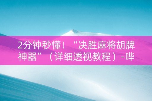 2分钟秒懂！“决胜麻将胡牌神器”（详细透视教程）-哔哩哔哩
