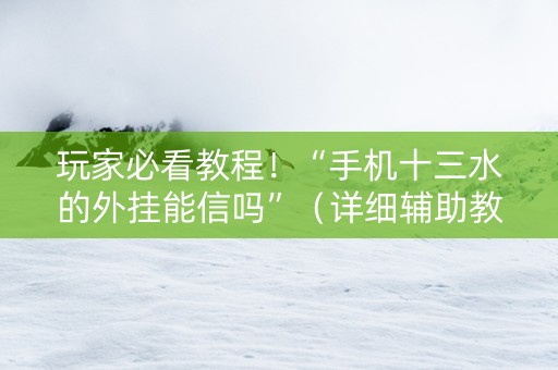 玩家必看教程！“手机十三水的外挂能信吗”（详细辅助教程）-哔哩哔哩