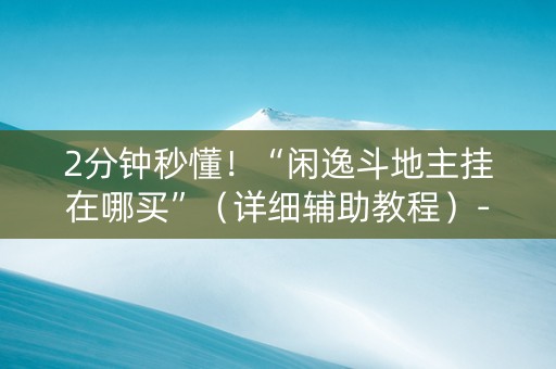 2分钟秒懂！“闲逸斗地主挂在哪买”（详细辅助教程）-哔哩哔哩