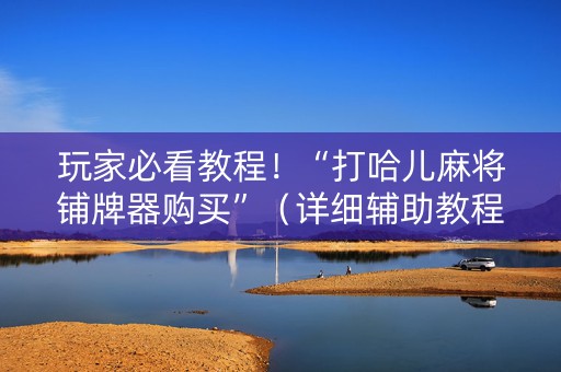 玩家必看教程！“打哈儿麻将铺牌器购买”（详细辅助教程）-哔哩哔哩