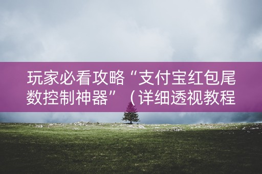 玩家必看攻略“支付宝红包尾数控制神器”（详细透视教程）-哔哩哔哩