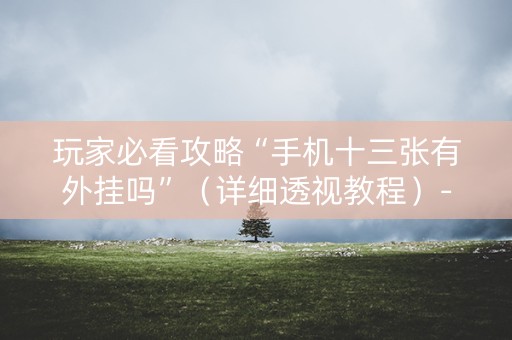 玩家必看攻略“手机十三张有外挂吗”（详细透视教程）-哔哩哔哩