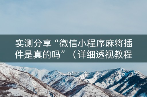 实测分享“微信小程序麻将插件是真的吗”（详细透视教程）-哔哩哔哩