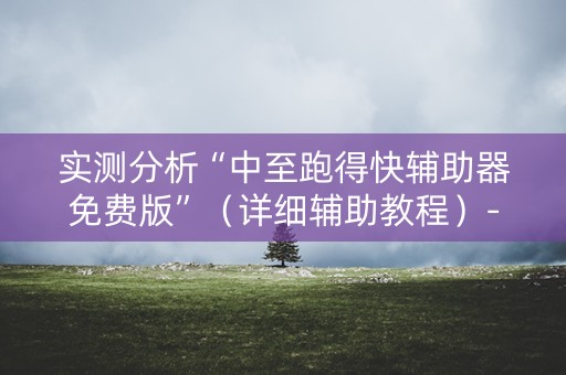 实测分析“中至跑得快辅助器免费版”（详细辅助教程）-哔哩哔哩
