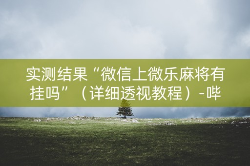 实测结果“微信上微乐麻将有挂吗”（详细透视教程）-哔哩哔哩