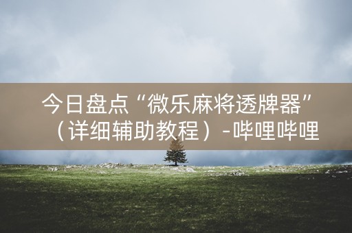 今日盘点“微乐麻将透牌器”（详细辅助教程）-哔哩哔哩