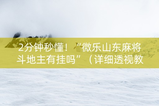 2分钟秒懂！“微乐山东麻将斗地主有挂吗”（详细透视教程）-哔哩哔哩