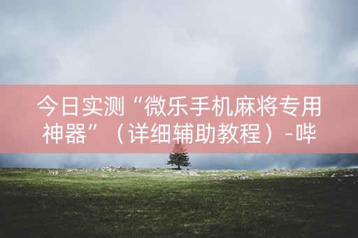 今日实测“微乐手机麻将专用神器”（详细辅助教程）-哔哩哔哩