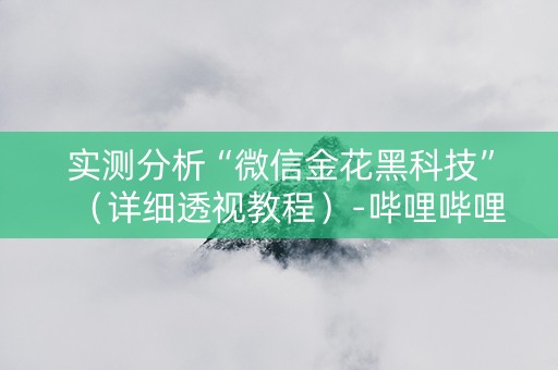 实测分析“微信金花黑科技”（详细透视教程）-哔哩哔哩