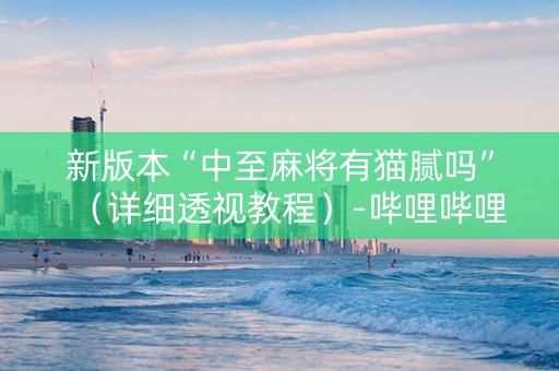 新版本“中至麻将有猫腻吗”（详细透视教程）-哔哩哔哩