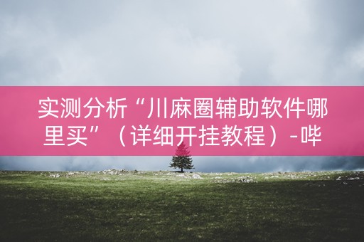 实测分析“川麻圈辅助软件哪里买”（详细开挂教程）-哔哩哔哩