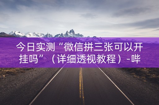 今日实测“微信拼三张可以开挂吗”（详细透视教程）-哔哩哔哩