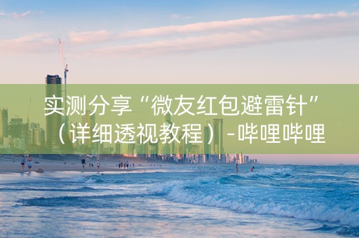 实测分享“微友红包避雷针”（详细透视教程）-哔哩哔哩