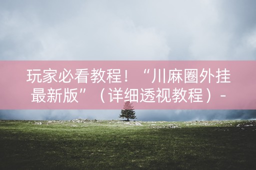 玩家必看教程！“川麻圈外挂最新版”（详细透视教程）-哔哩哔哩