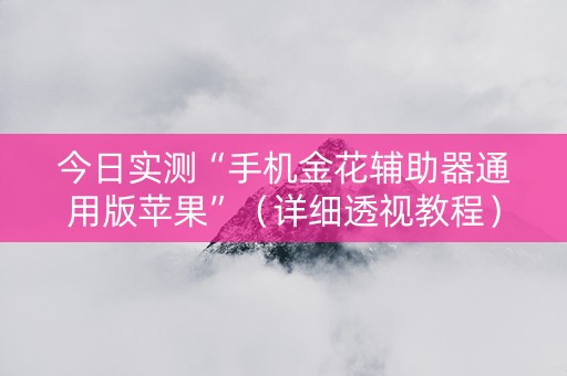 今日实测“手机金花辅助器通用版苹果”（详细透视教程）-哔哩哔哩