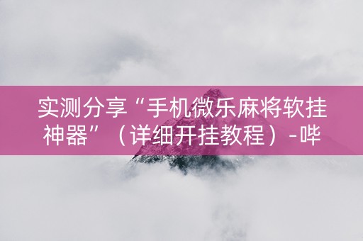 实测分享“手机微乐麻将软挂神器”（详细开挂教程）-哔哩哔哩