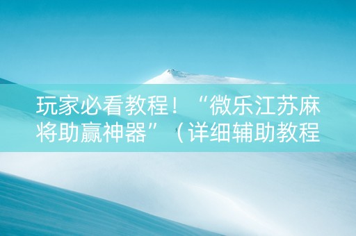 玩家必看教程！“微乐江苏麻将助赢神器”（详细辅助教程）-哔哩哔哩