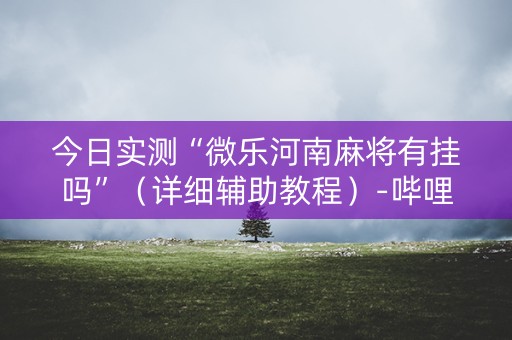 今日实测“微乐河南麻将有挂吗”（详细辅助教程）-哔哩哔哩