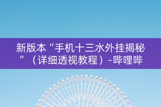 新版本“手机十三水外挂揭秘”（详细透视教程）-哔哩哔哩